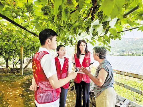 今年暑假,河北科技师范学院“葡香少年行”实践团在秦皇岛昌黎东山马庄村葡萄种植园内,与种植户交流。受访者供图