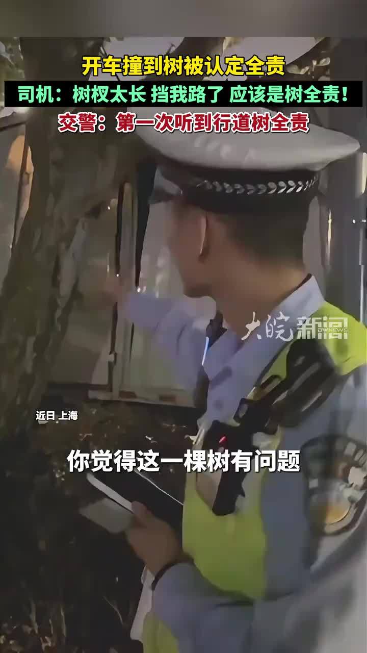 开车撞到树被认定全责，司机：树杈太长，挡我路了，应该是树全责！交警：第一次听说树全责