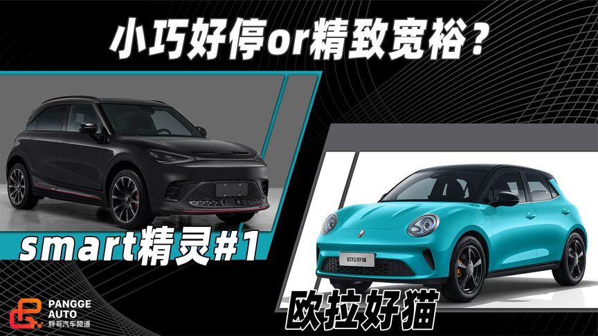 小巧好停or精致宽裕，买菜代步怎么选？