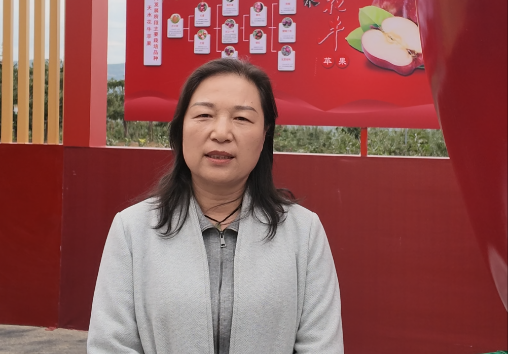 天水花牛苹果基地 杨花莲 (1).png