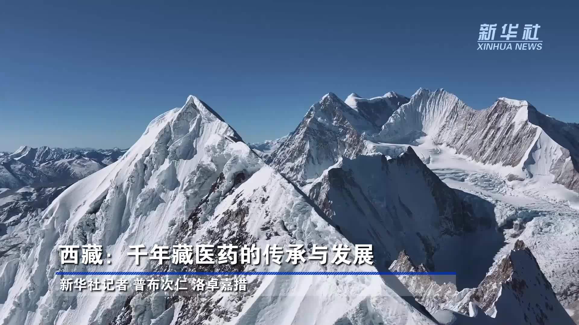 西藏：千年藏医药的传承与发展