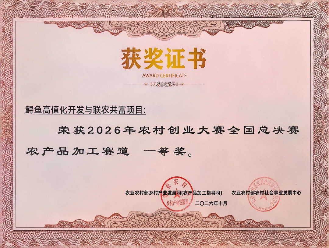 荣誉证书