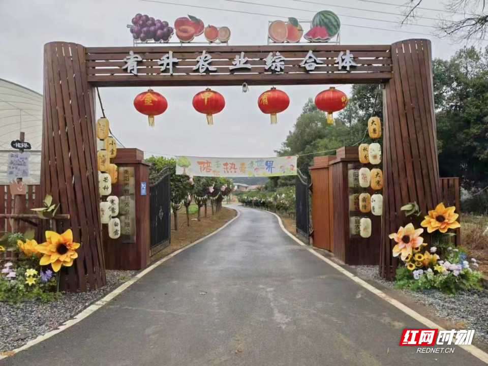 图片3.png