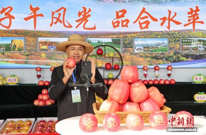 农户现场直播销售苹果 陈飞 摄