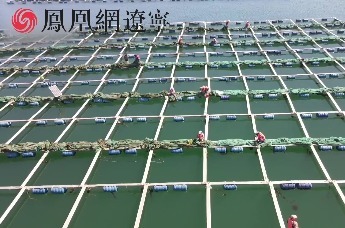 【跟着镜头看辽宁】绥中县：渔业养殖提质升级 渔船改良增产增收