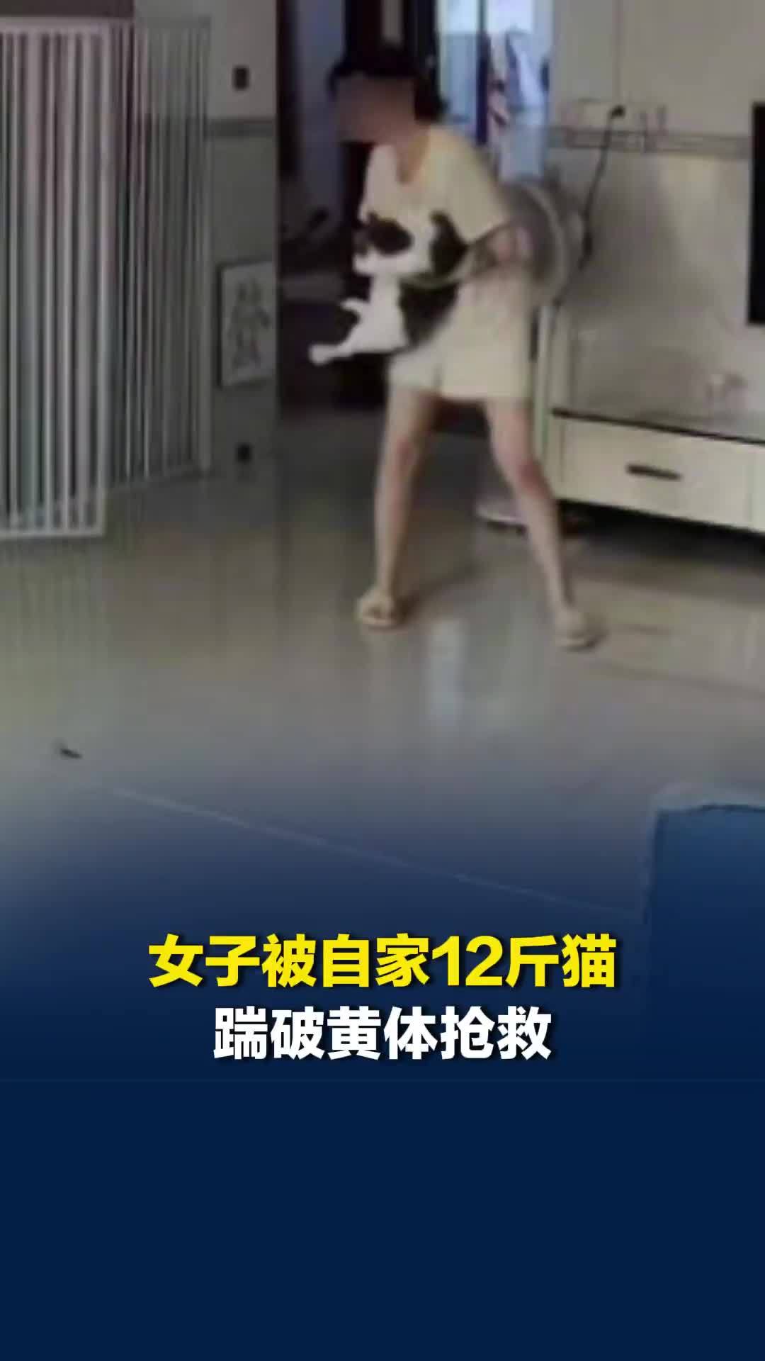 女子被自家12斤猫咪踹进手术室，确诊为卵巢黄体囊肿破裂，主治医生提醒