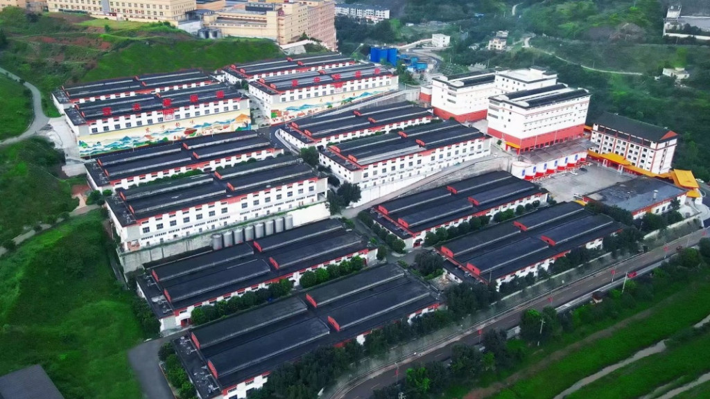 茅台镇前五酒厂的“舒适饮酒革命”——大唐奢秘背后的产业底座