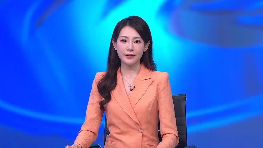 王毅会晤黑山总理与外长 探讨提升双边定位