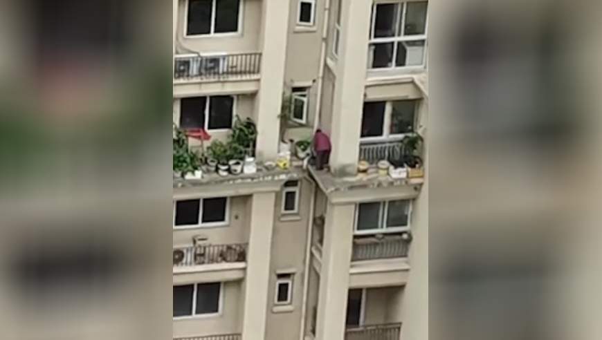老人站7楼外墙种花，没有护栏，网友：胆真大，这花是非种不可吗？