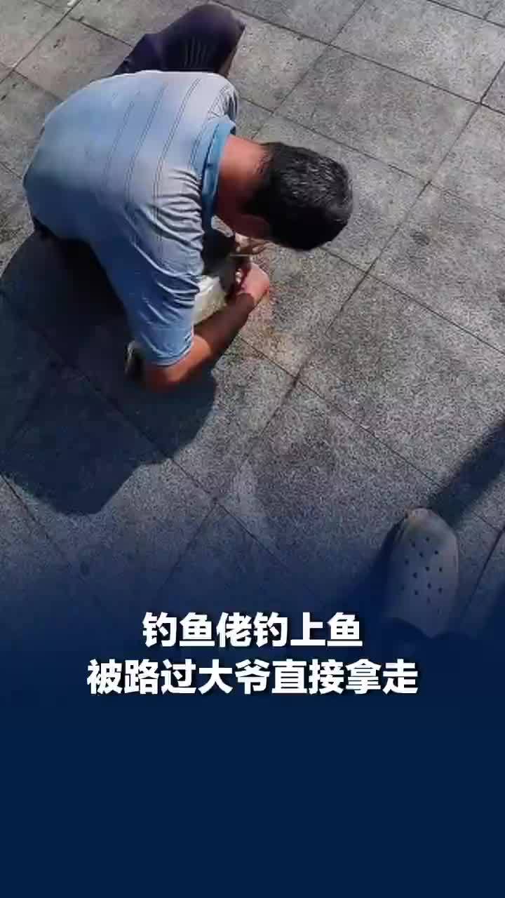 钓鱼佬钓上鱼被路过大爷抢走，钓鱼佬：我只是担心鱼钩扎到他的手