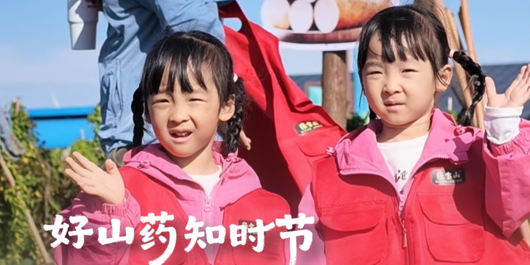 赴一场丰收之约！张宝山第四届铁棍山药霜降采挖季明日开启