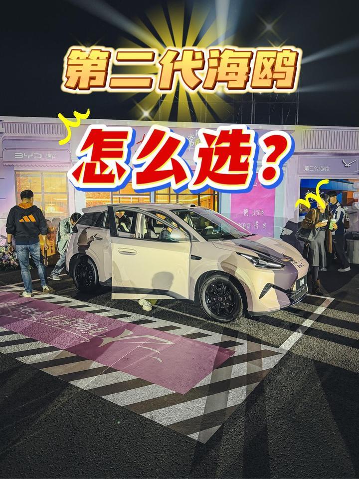 第二代海鸥到底该怎么选？