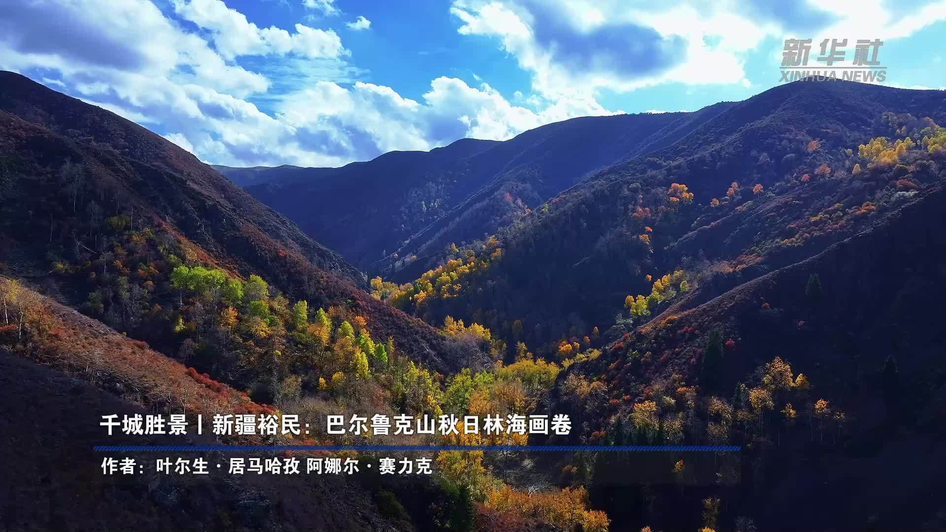 千城胜景｜新疆裕民：巴尔鲁克山秋日林海画卷