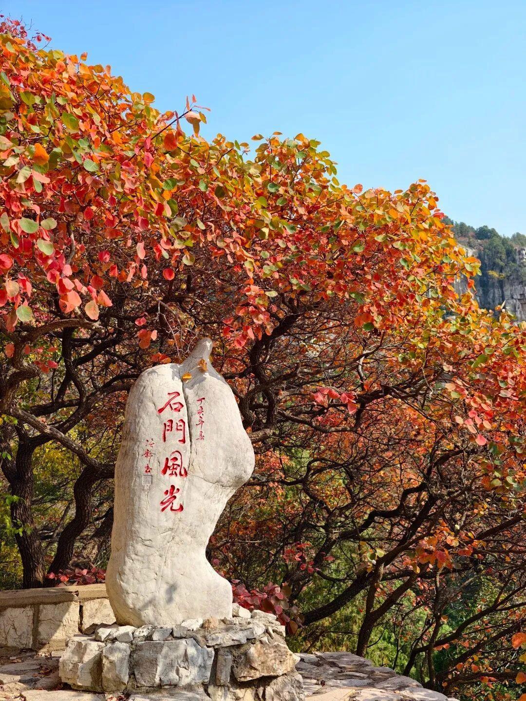 © | 爱喝咖啡的工抵小姐姐