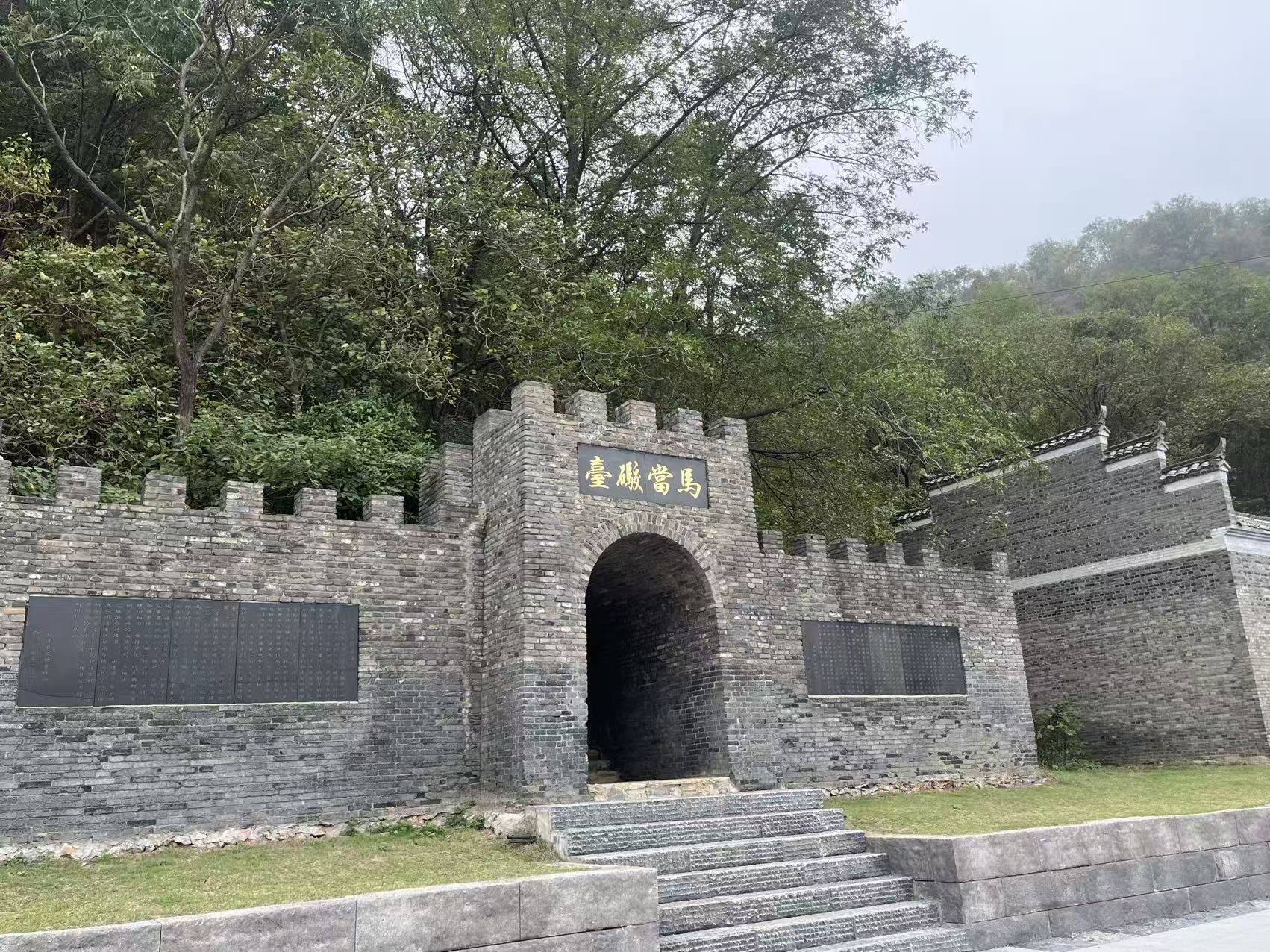 江西彭泽：持续书写新时代长江经济带发展崭新答卷