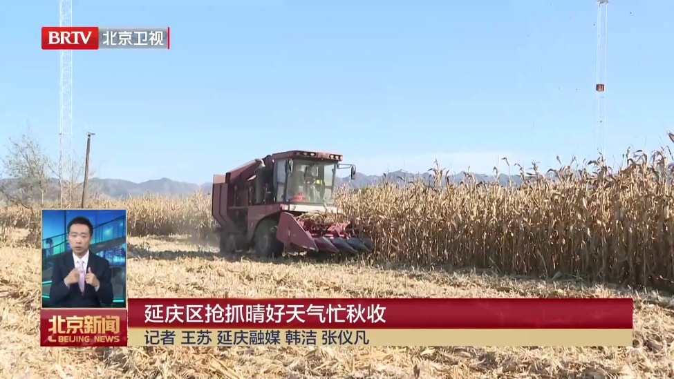 延庆区抢抓晴好天气忙秋收