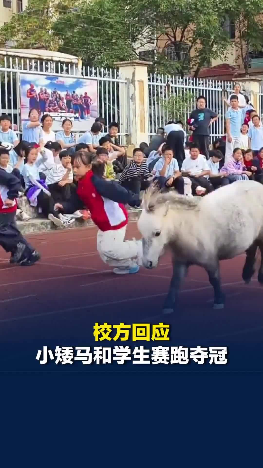 校方回应小矮马和学生赛跑夺冠：被奖励三根胡萝卜，学校有两匹小矮马，它们性格温和