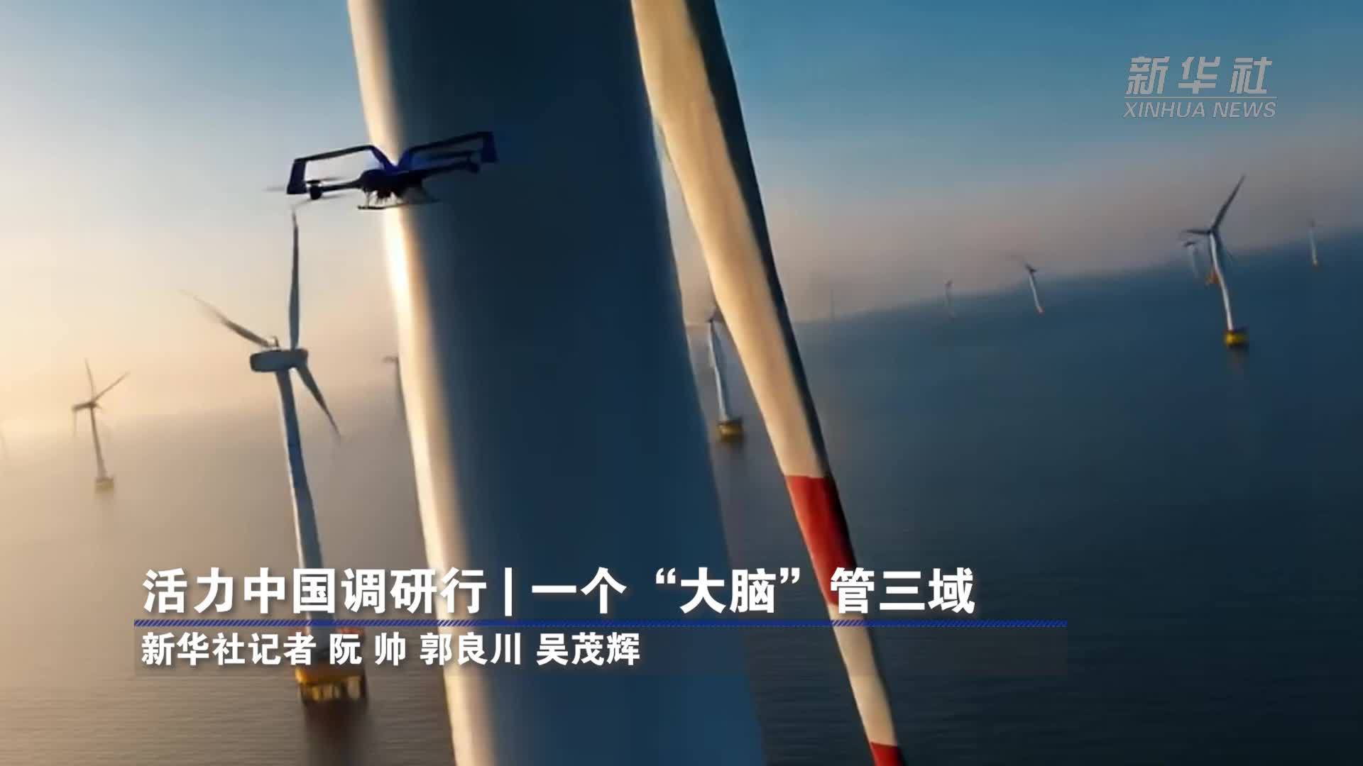 活力中国调研行|一个“大脑”管三域