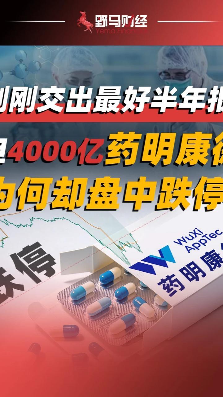 刚刚交出最好半年报，但4000亿药明康德为何却盘中跌停？#药明康德#上市公司#财经