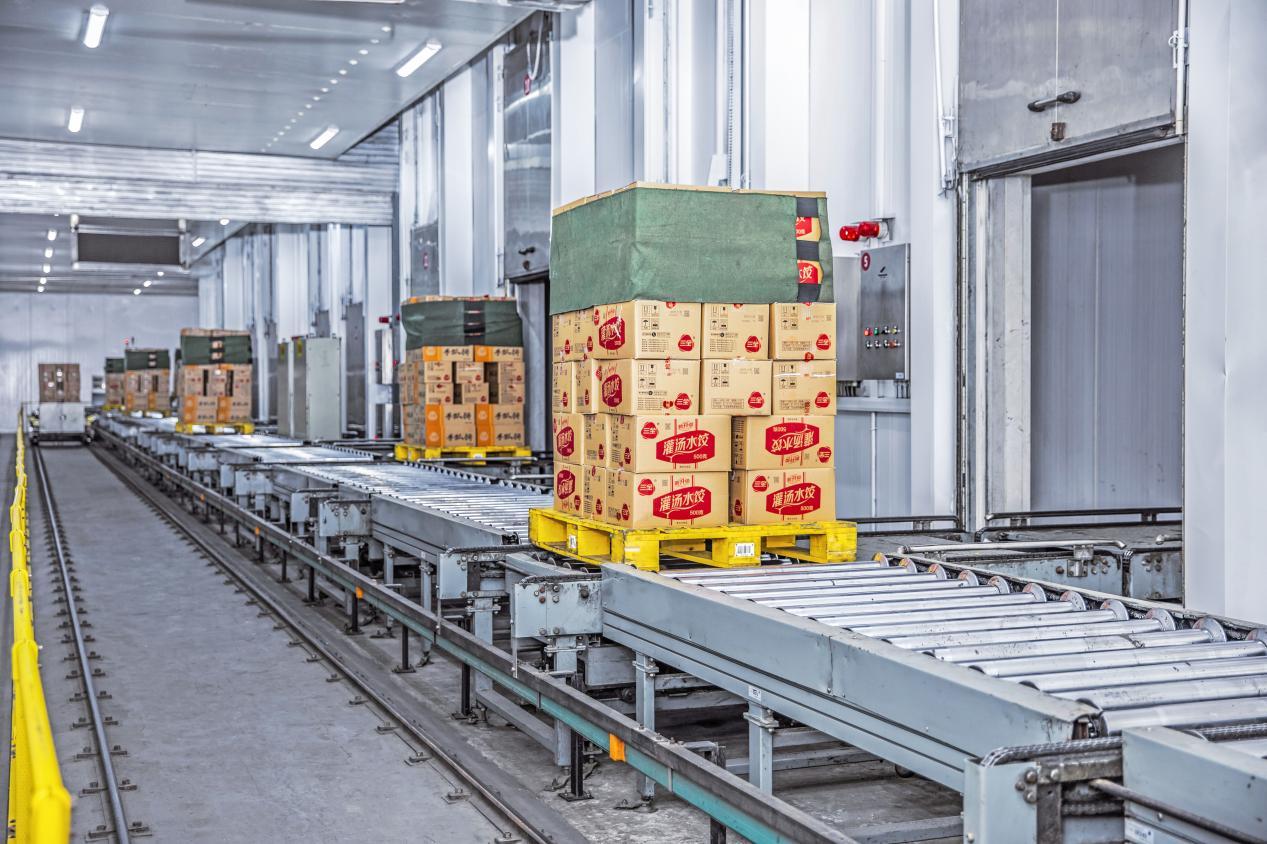 三全食品工厂,产品正在通过流水线发往世界各地。(河南日报供图)