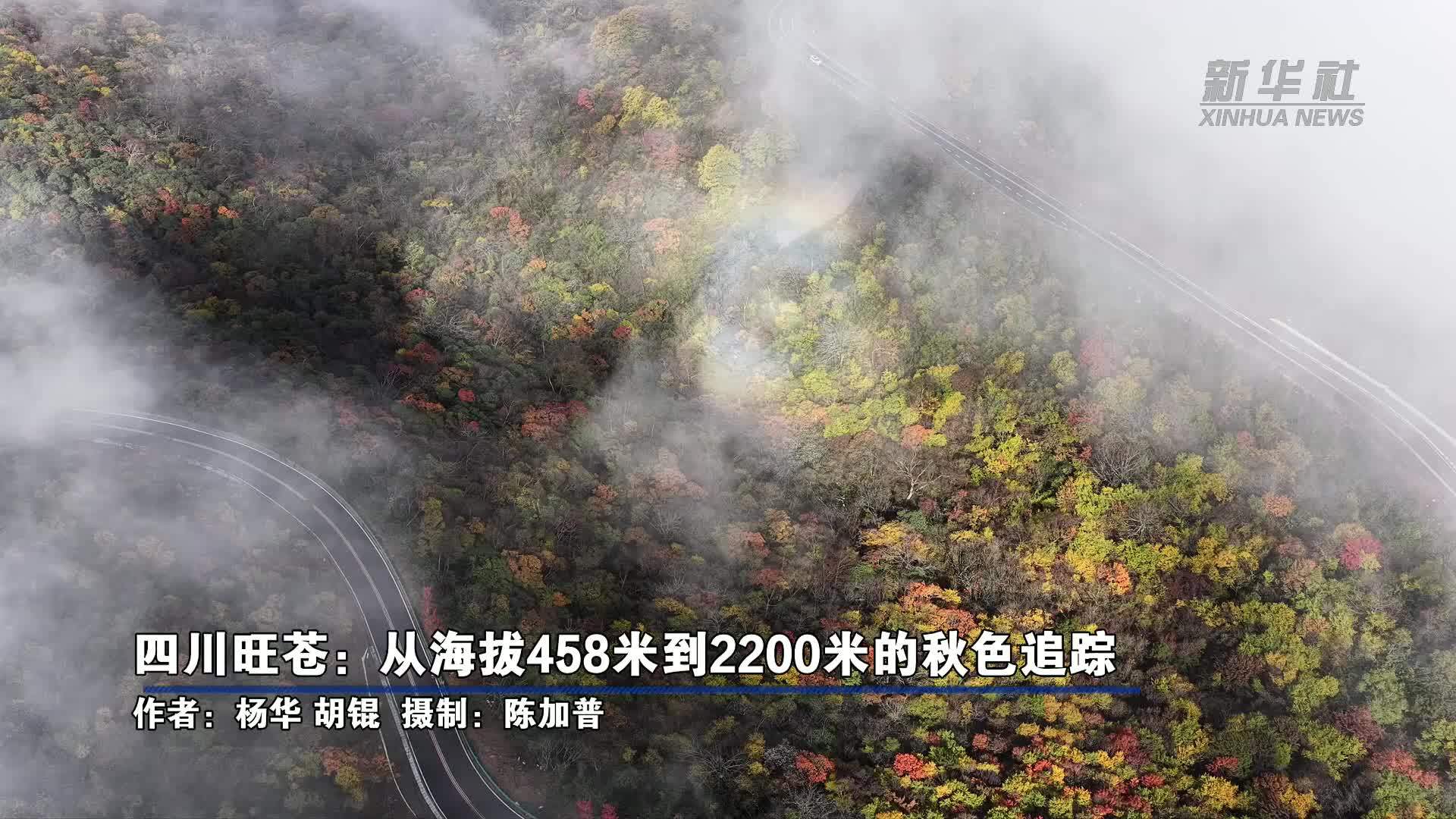 四川旺苍：从海拔458米到2200米的秋色追踪