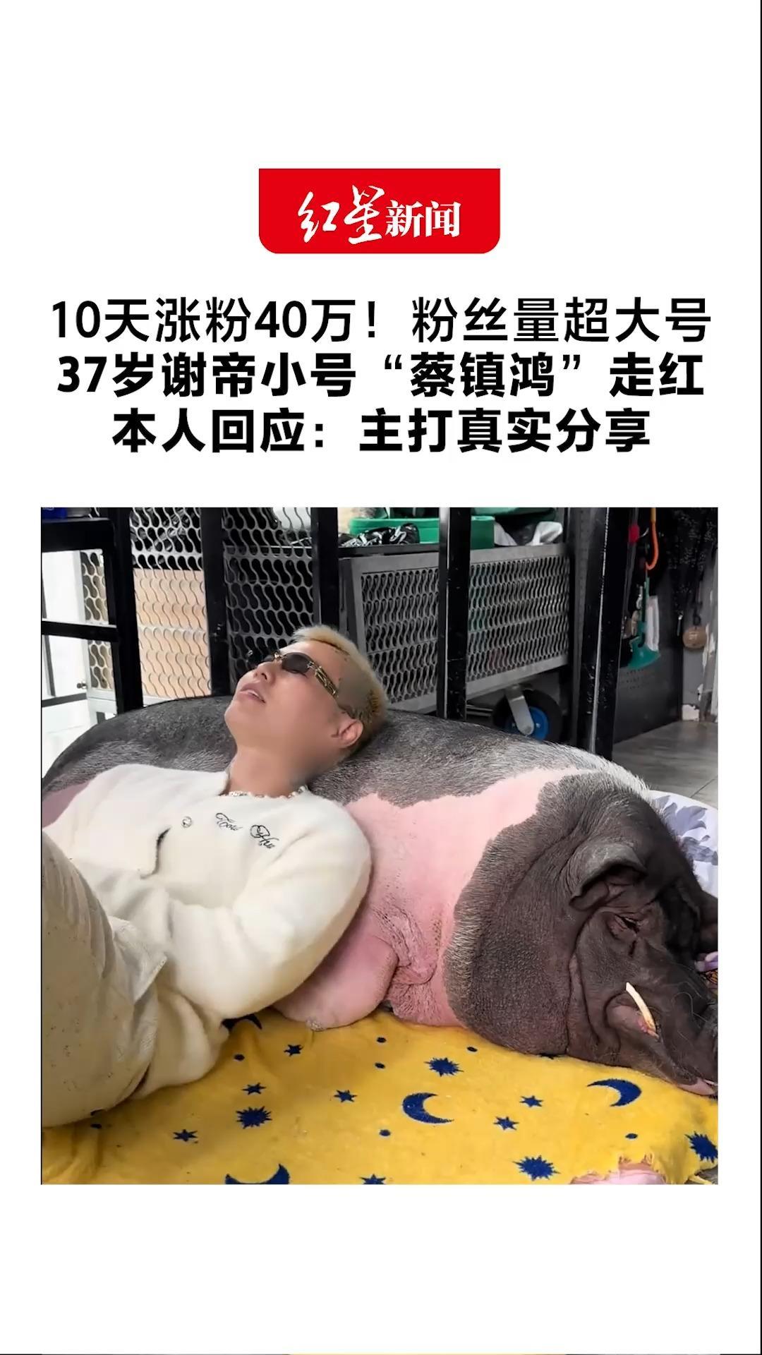 10天涨粉40万！粉丝量超大号 37岁谢帝小号“蔡镇鸿”走红 本人回应：主打真实分享 每天刷网友的评论会陷进去