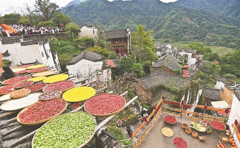 婺源篁岭：晒秋（图）
