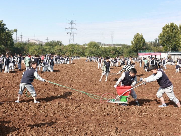 山东师范大学附属小学的学生在校外实践。受访单位供图