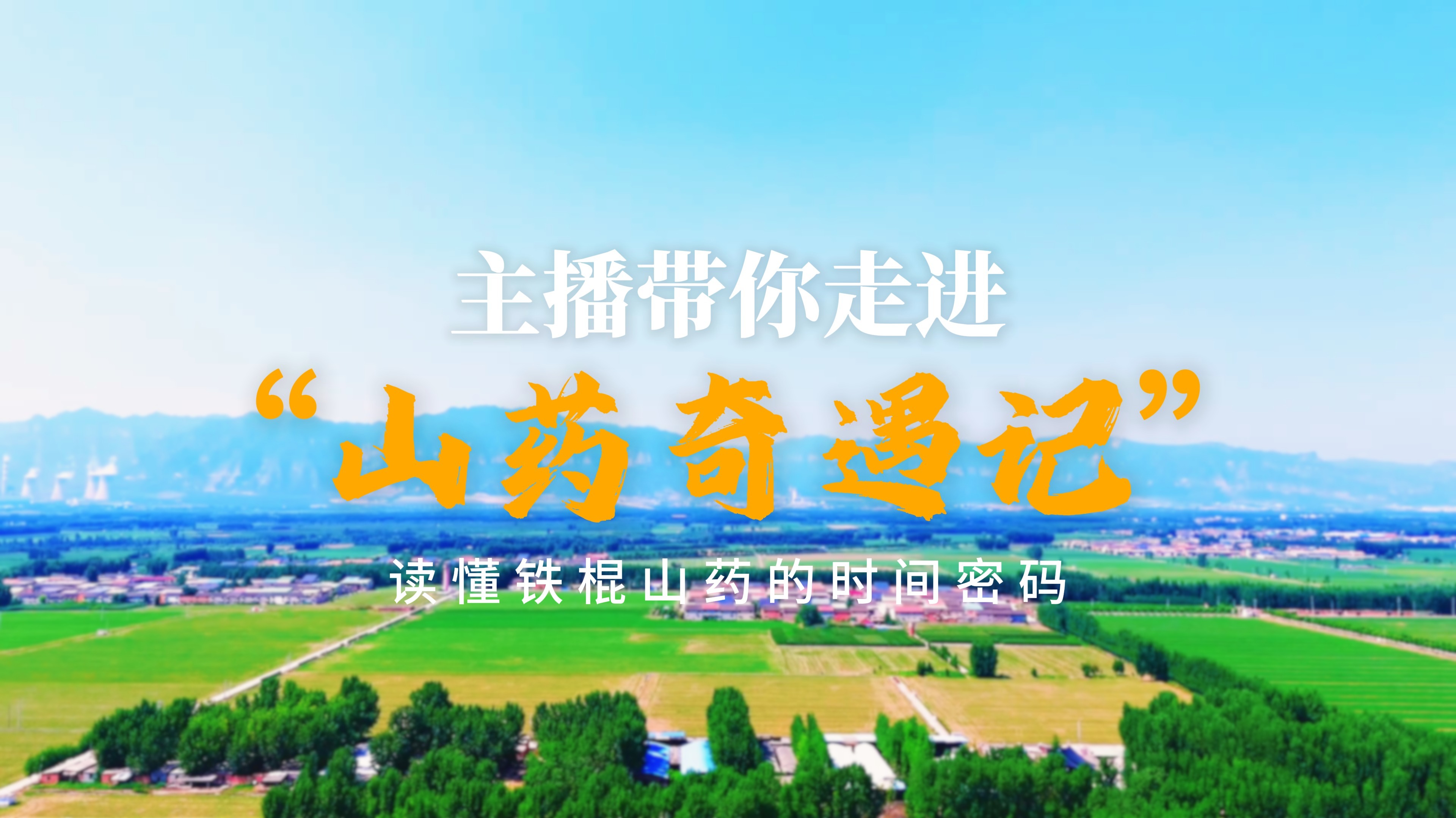一场“山药奇遇记”，带您读懂铁棍山药的时间密码