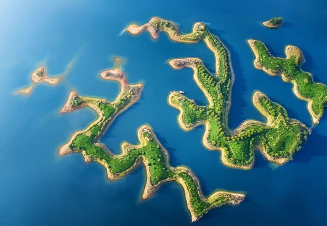 湖上茶园 余诗祥摄.jpg