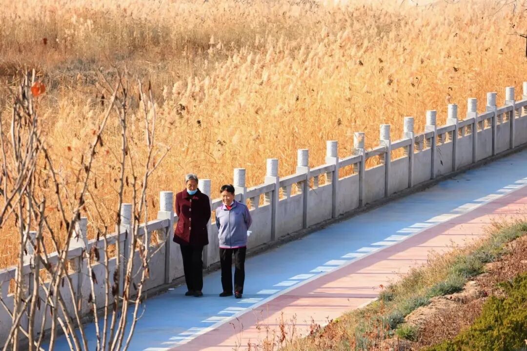何珍珍 摄