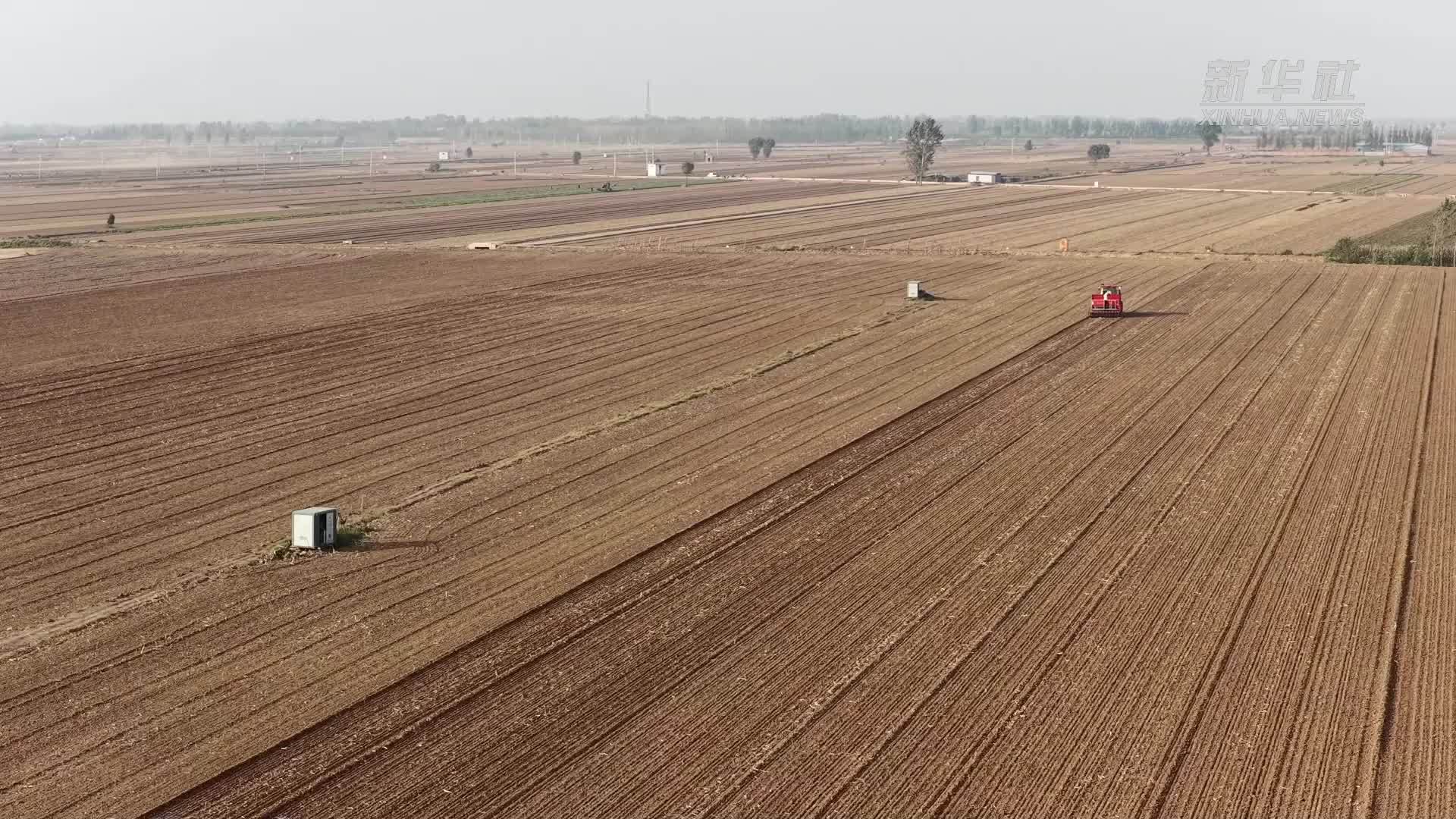 河南新乡：智慧农机绘“丰”景 良种良技助秋播