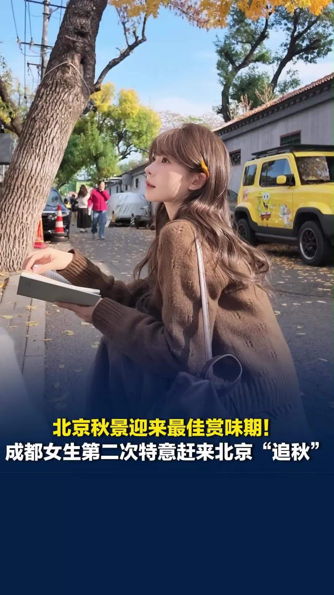北京秋景迎来最佳赏味期！成都女生特意赶来北京“追秋”：今年来早了点，晚一周更好看