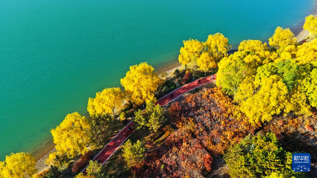 10月27日，市民在甘肃省张掖市芦水湾生态景区骑行健身（无人机照片）。新华社发（成林　摄）