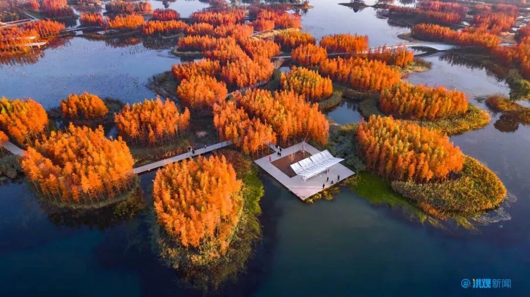 鱼尾洲湿地公园