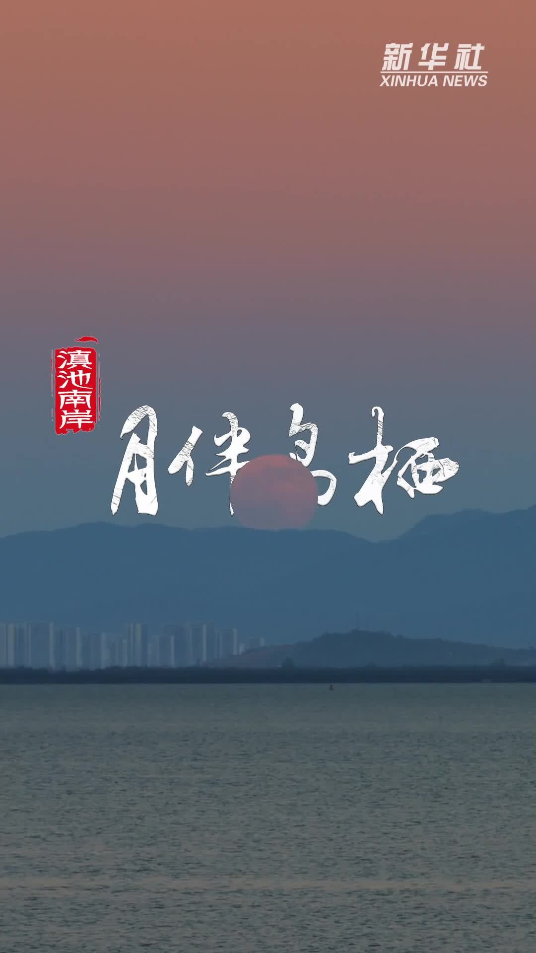 滇池南岸 月伴鸟栖