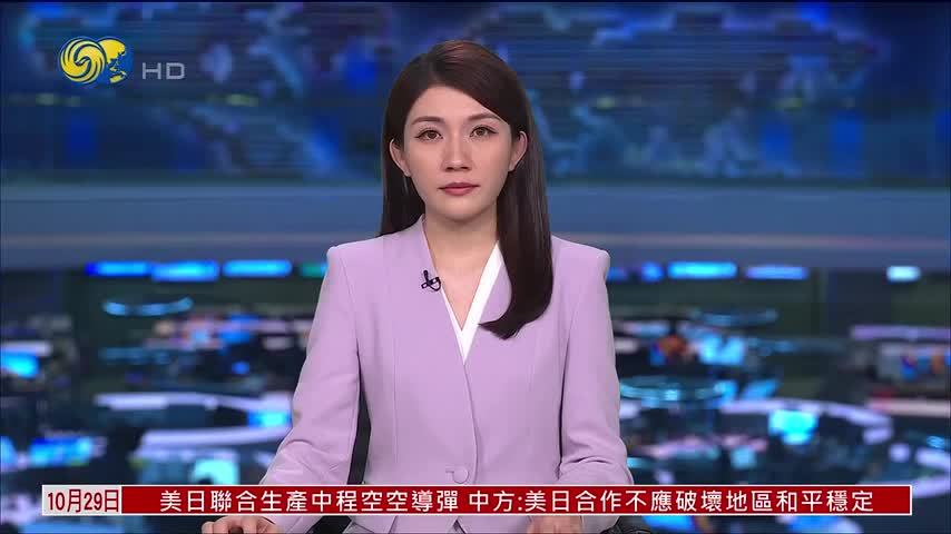 日本政府拟成立白帽黑客团队应对网络攻击