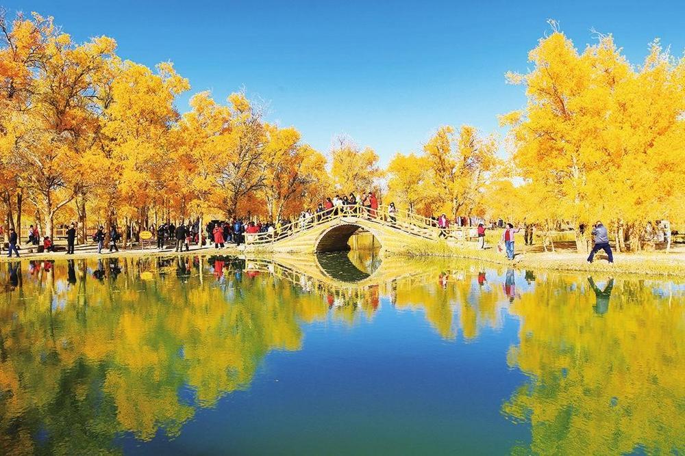 10月，酒泉市金塔县沙漠胡杨林景区满目鎏金，湖水倒映胡杨，宛如画卷。如画美景吸引全国各地游客纷至沓来，驻足赏景。新甘肃&middot;甘肃经济日报通讯员　马玉福　摄