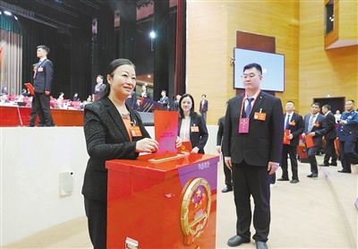 投下神圣一票