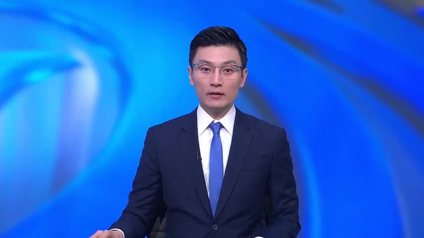 天然气出口国论坛第八次峰会莫斯科举行