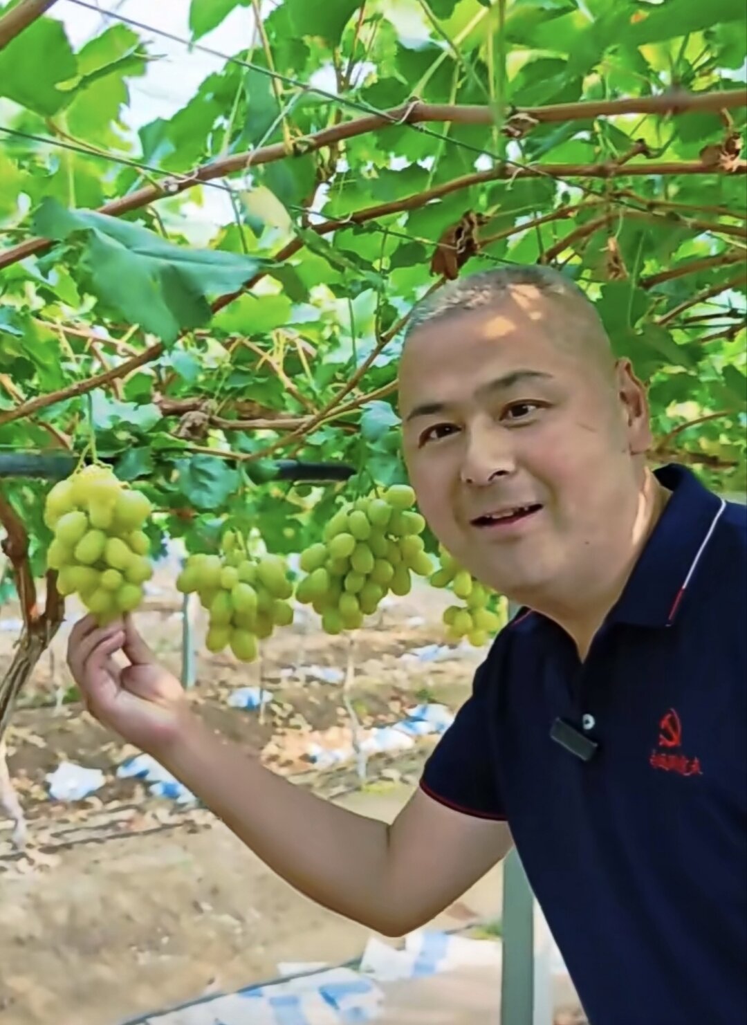 青岛乡里乡亲丨乡村网络达人 张茂华:乡村振兴的“云端新农人”