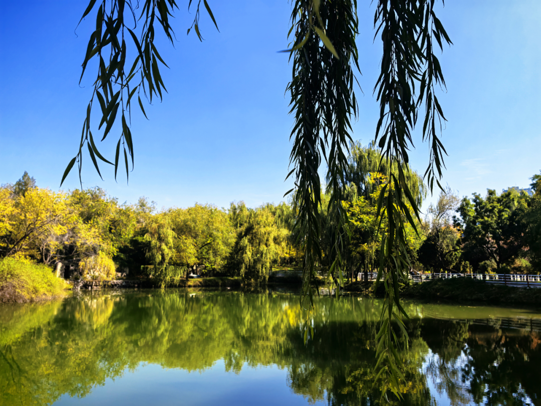 一池湖水