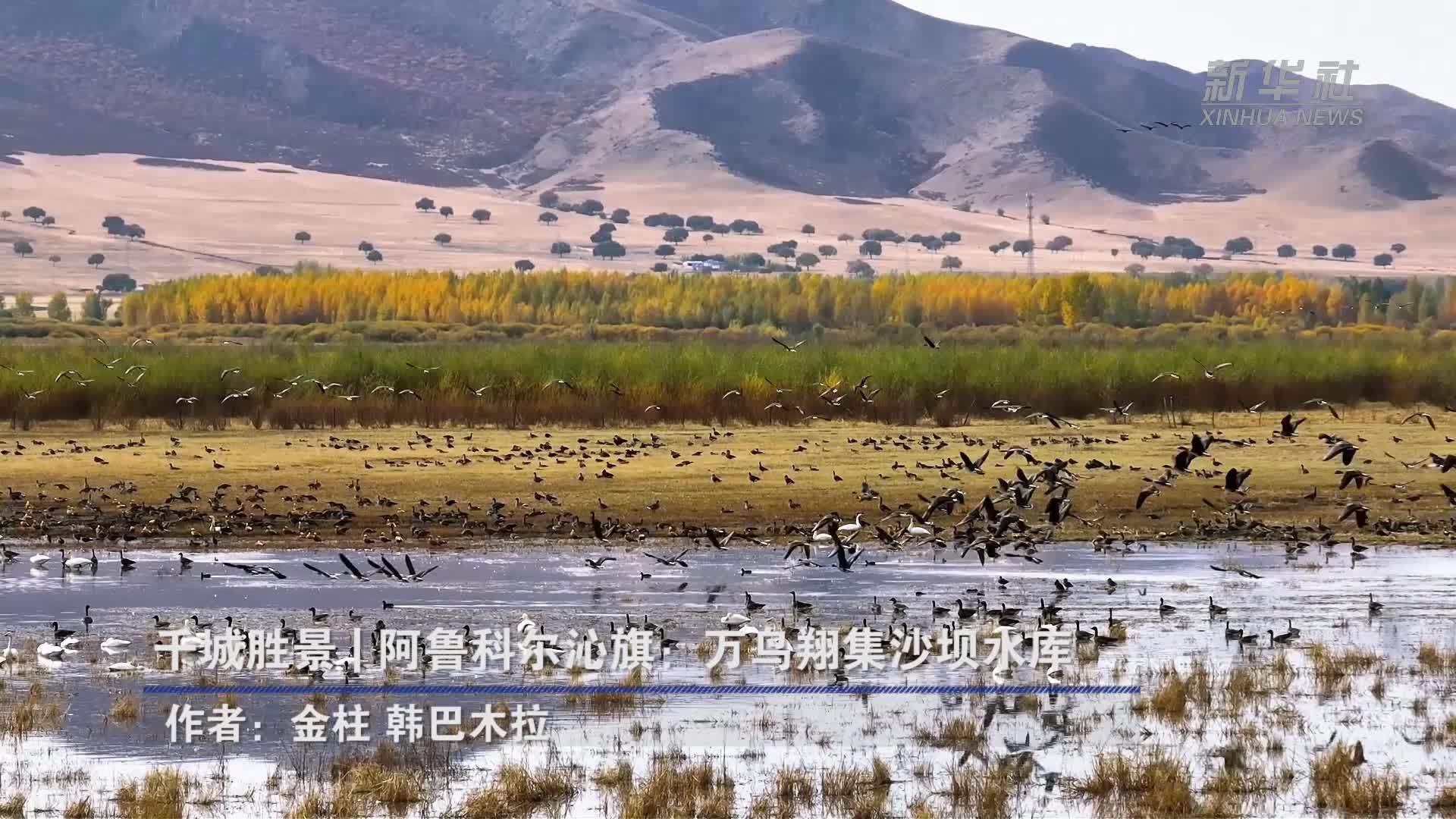 千城胜景｜阿鲁科尔沁旗：万鸟翔集沙坝水库