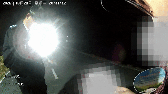 lv_0_20261029101359.gif