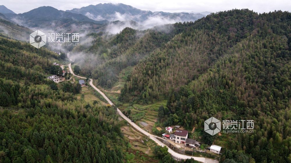 2026年10月27日，江西省遂川县大汾镇群山间云雾翻涌，层峦叠翠，梯田错落，民居散落山间。云海与良田、山林相映，勾勒出秀美的生态画卷。