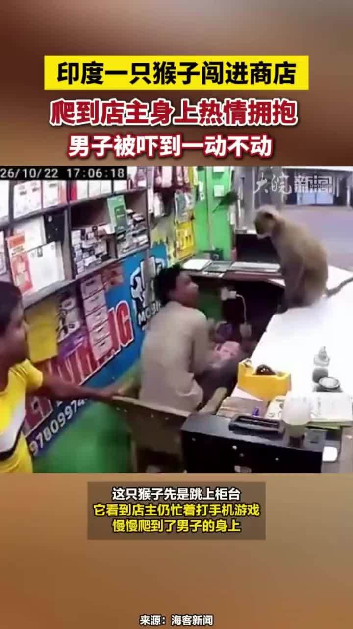 印度一只猴子闯进商店，爬到店主身上热情拥抱，男子被吓到一动不动#缘分 #不如见一面 #印度猴子爬到店主身上热情拥抱