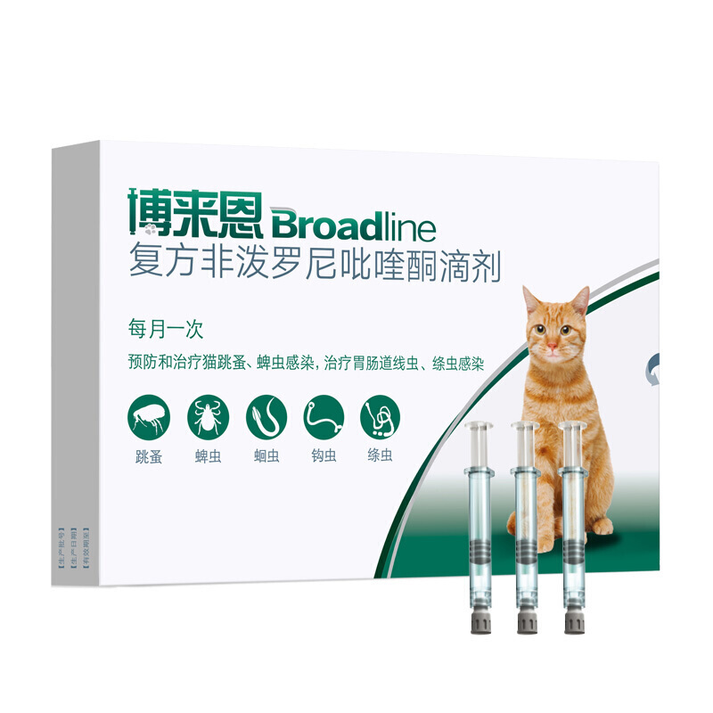 飞书稿件图片