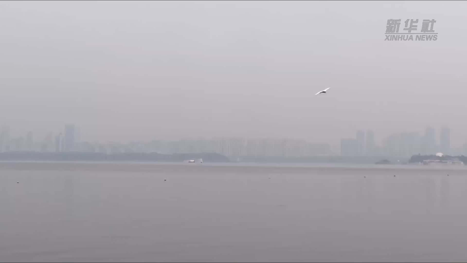 深秋江城 亲水武汉