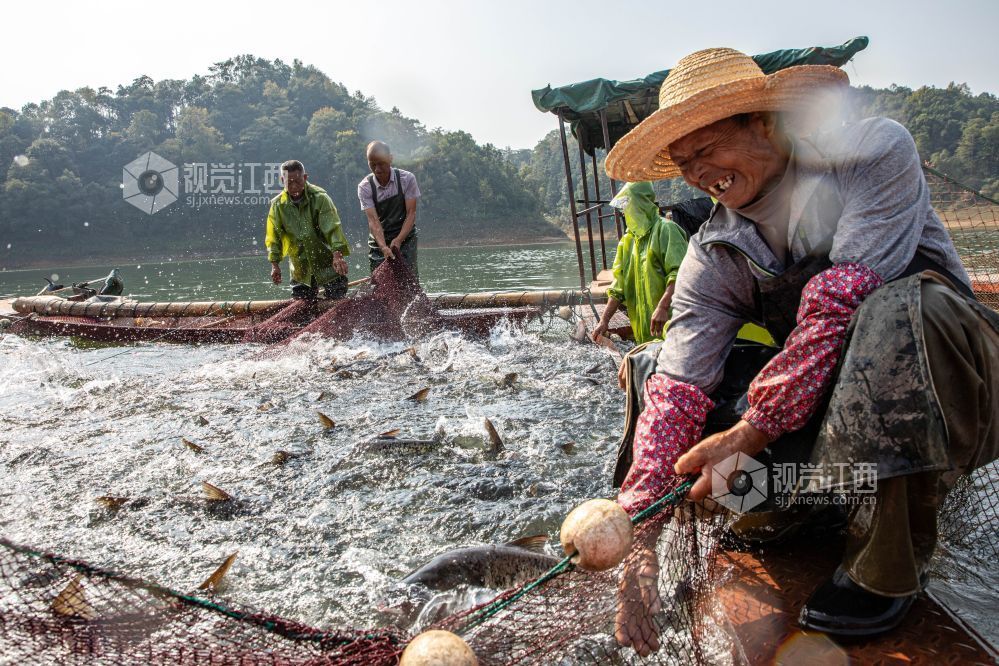 江西宜春：飞剑潭水库秋捕丰收（图）
