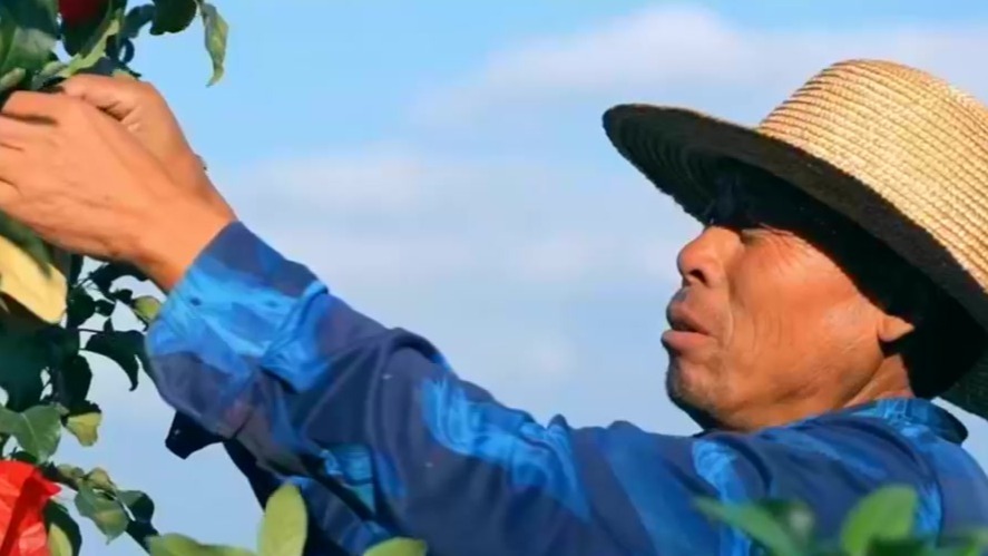 十四个季度　暖热5%的民生账